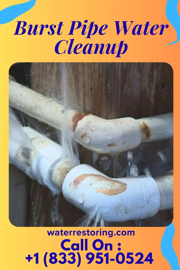 Burst Pipe Water Cleanup in Algood, TN