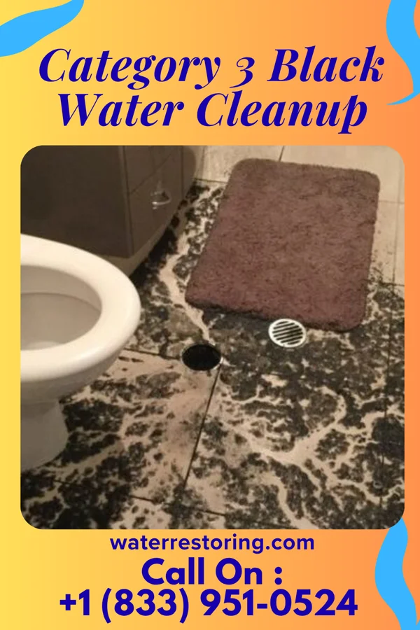 Category 3 Black Water Cleanup in Algood, TN