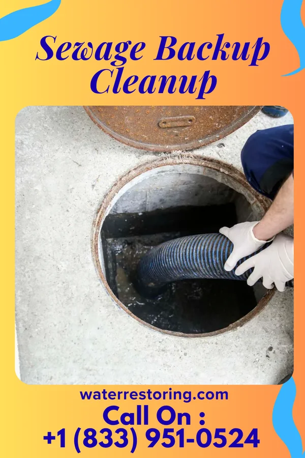 Sewage Backup Cleanup in Algood, TN