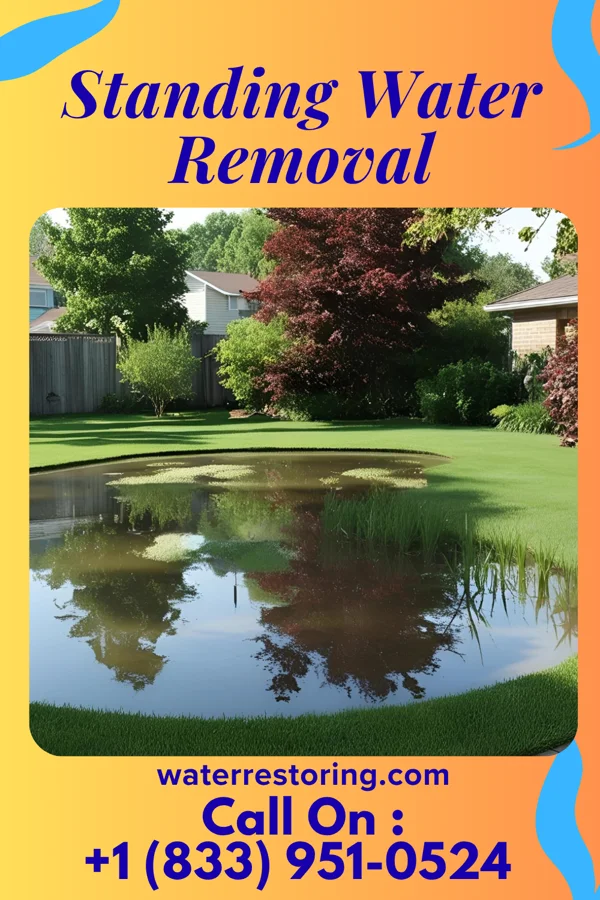 Standing Water Removal in Algood, TN